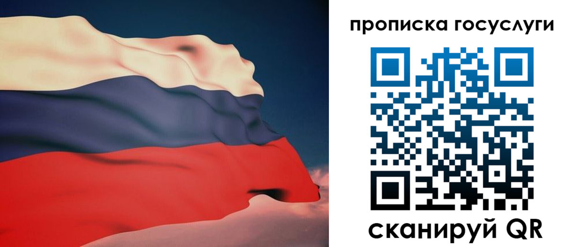 временная регистрация в Судогде